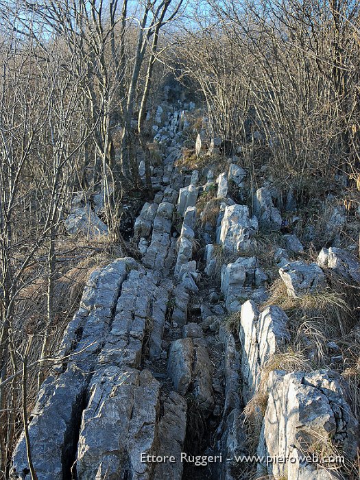 4 - Verticali strati di roccia sedimentaria.jpg